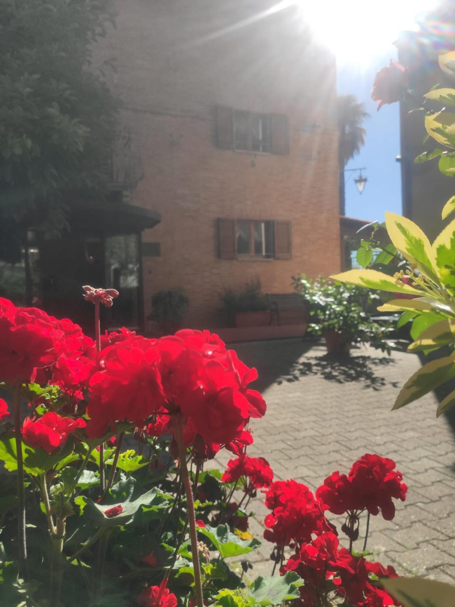 Hotel Arcobaleno Siena Eksteriør billede