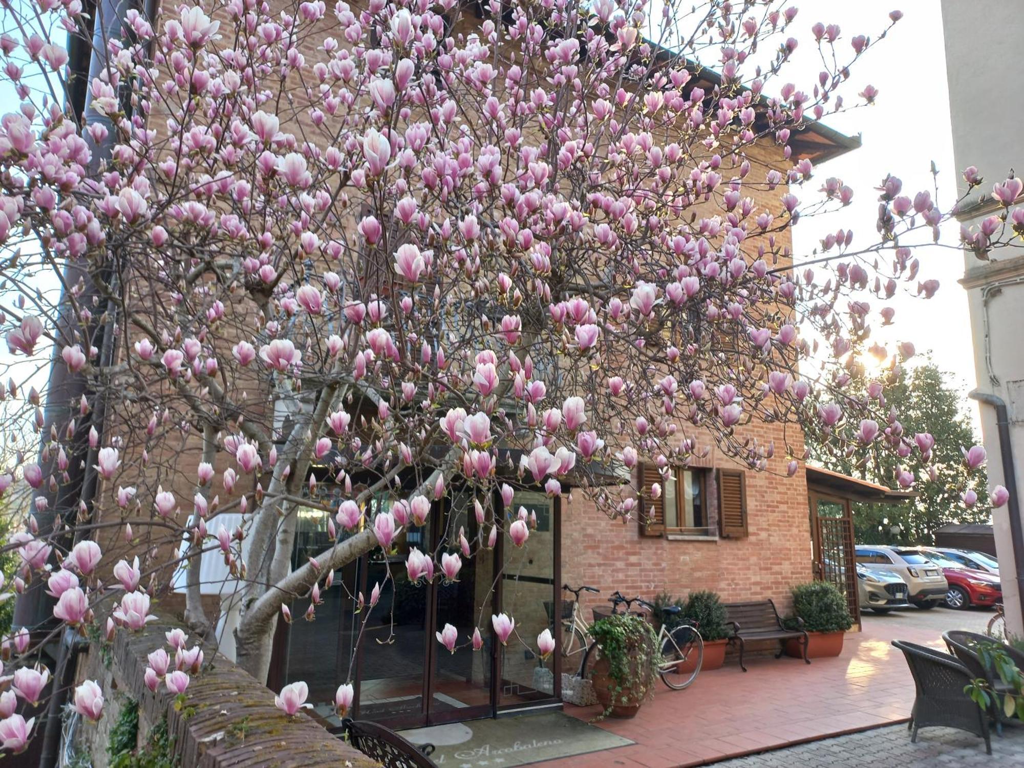 Hotel Arcobaleno Siena Eksteriør billede